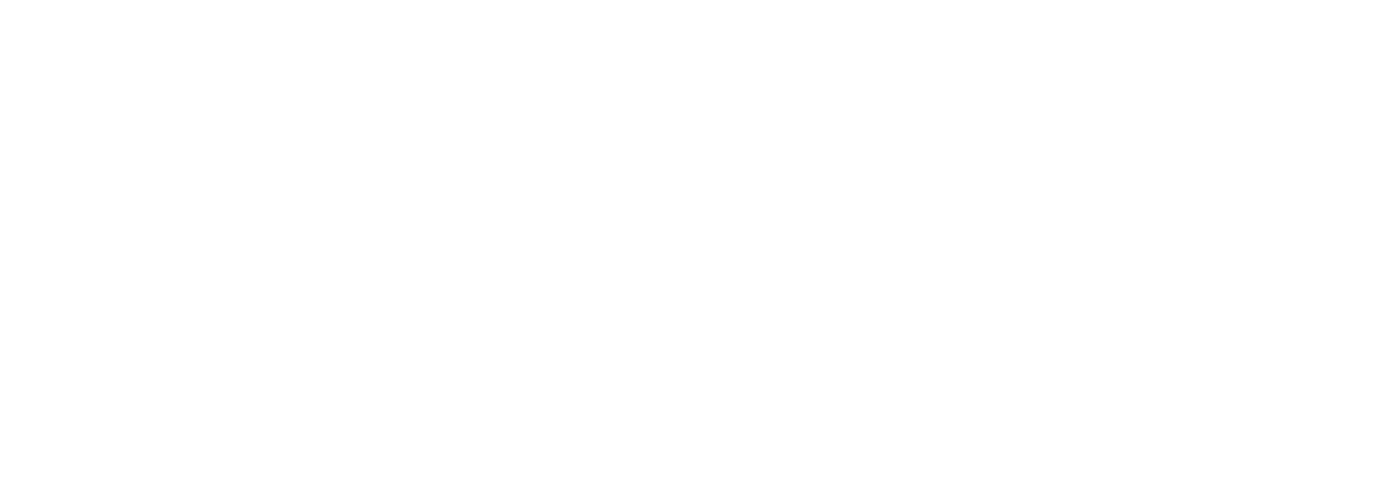 Neon Vibes Co